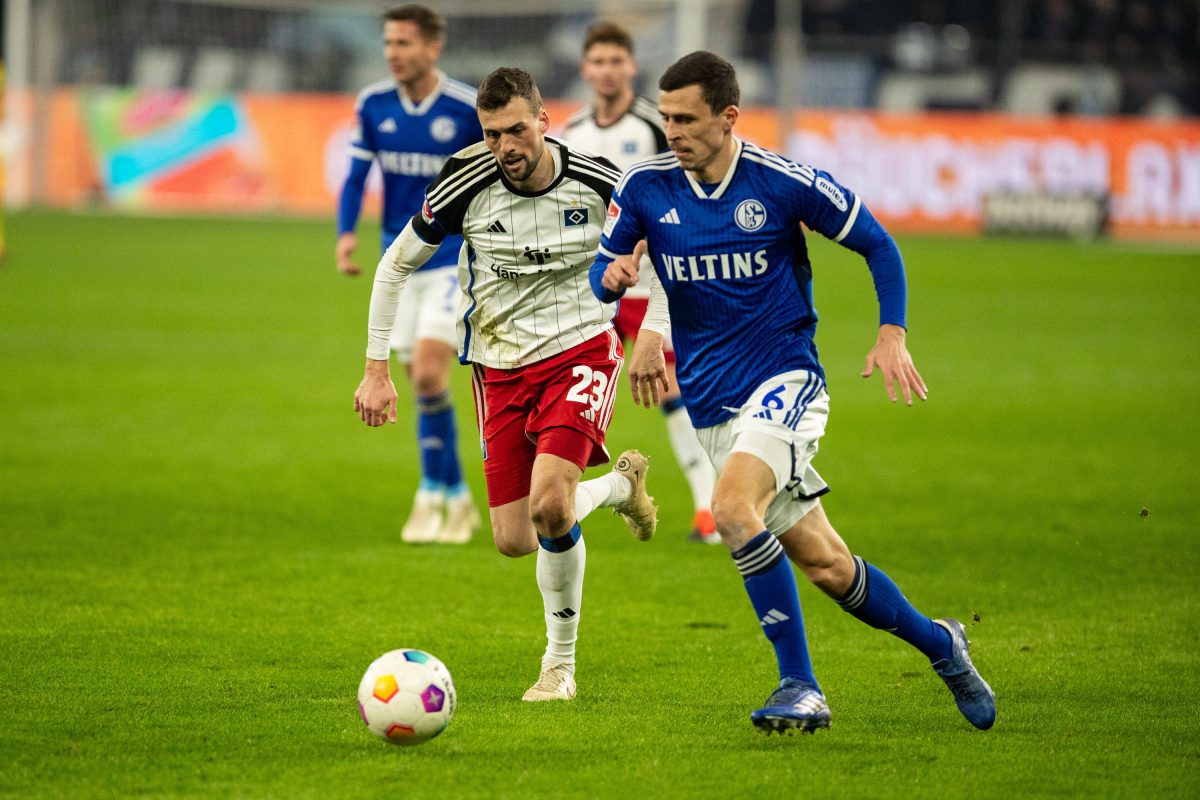 Hamburger SV Schalke