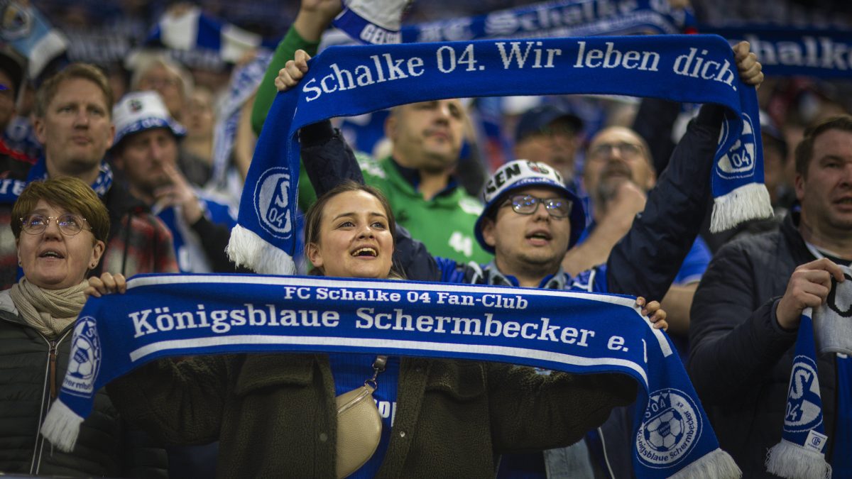 Die Fans von Schalke 04 können es kaum fassen! Bei einem bestimmten Anblick machen sie große Augen. Der Grund ist kurios.