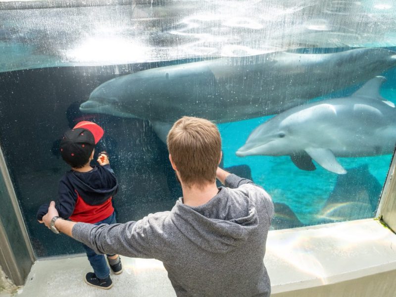 Zoo Duisburg beobachtet Besucher ganz genau – die Erkenntnisse sind eindeutig