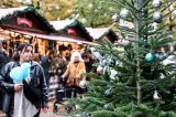 Weihnachtsmarkt: Preise