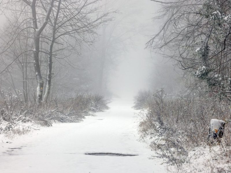 Wetter in NRW: Dezember-Prognose haut Expertin um – sie nimmt jede Hoffnung