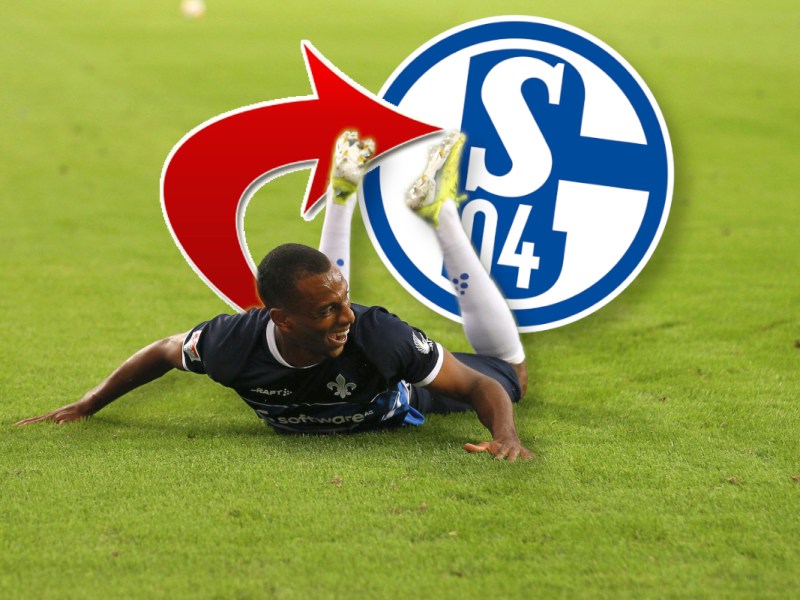 FC Schalke 04: Transfer aus dem Nichts! Star sorgt sofort für einen Knall