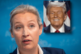 AfD und Trump