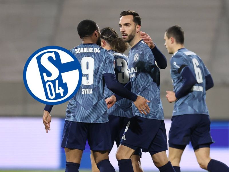 Schalke 04 blüht plötzlich auf – doch DAS „kommt zum ganz schlechten Zeitpunkt“