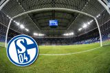 Der FC Schalke 04 hofft auf seinen neuen Rasen.