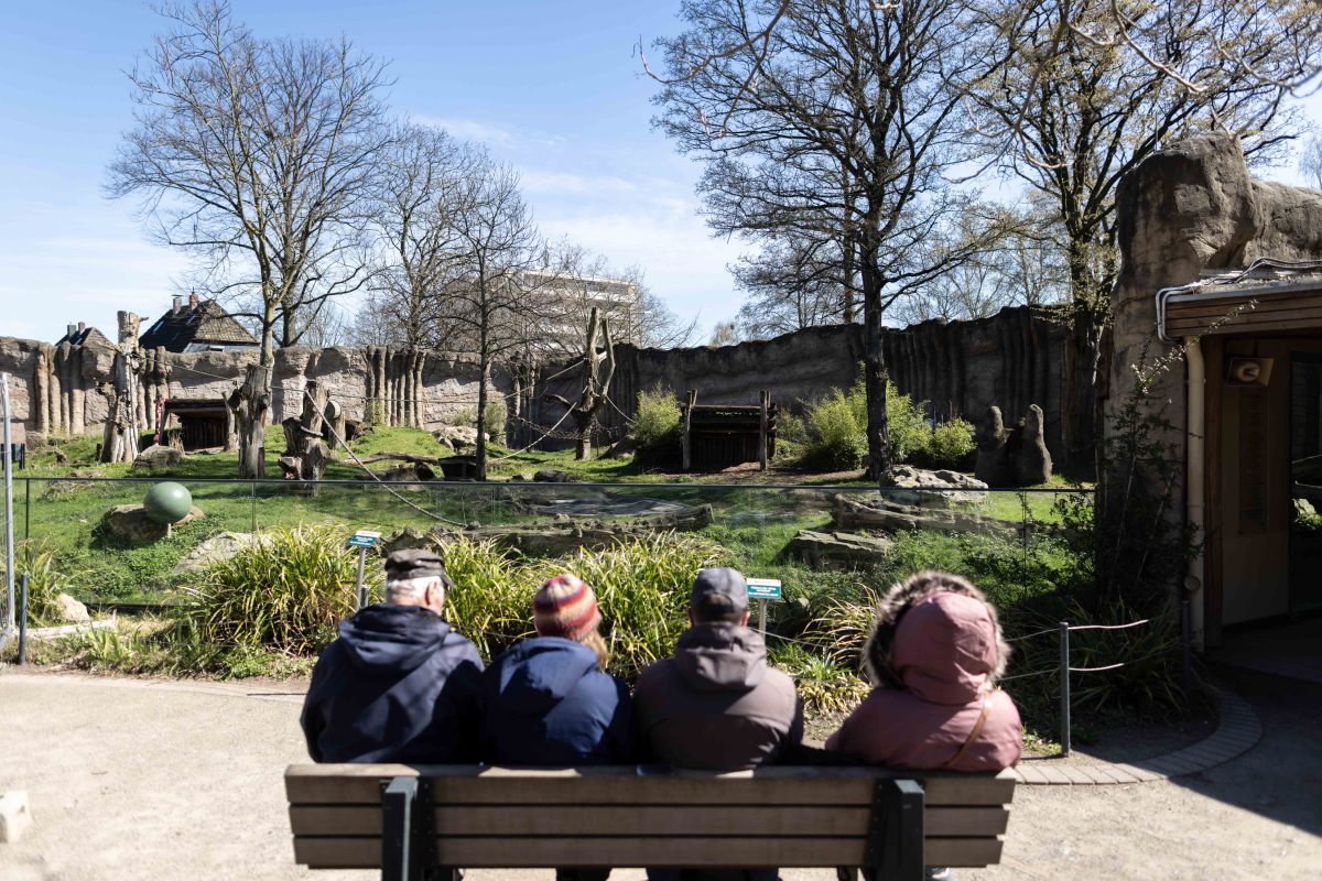 Zoo NRW: Tier-Tod Krefeld