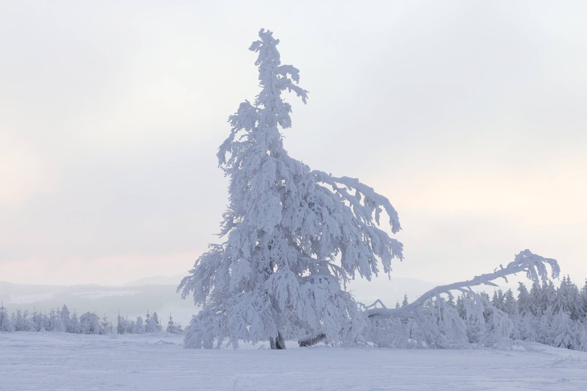 wetter-in-nrw-experte-f-rchtet-chaotische-bedingungen-unwetterartige-schnee-mengen