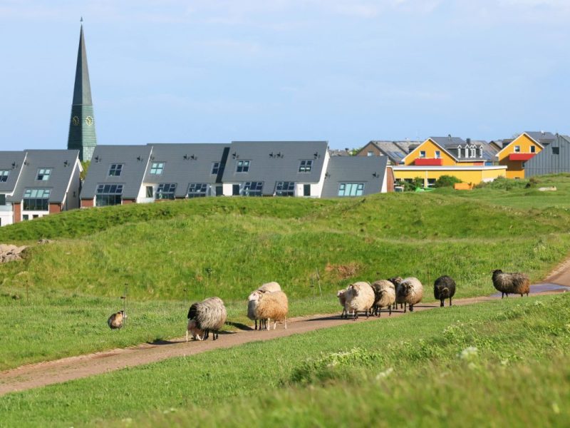 Urlaub an der Nordsee: Auf DIESER Insel brodelt es – Gäste außer sich