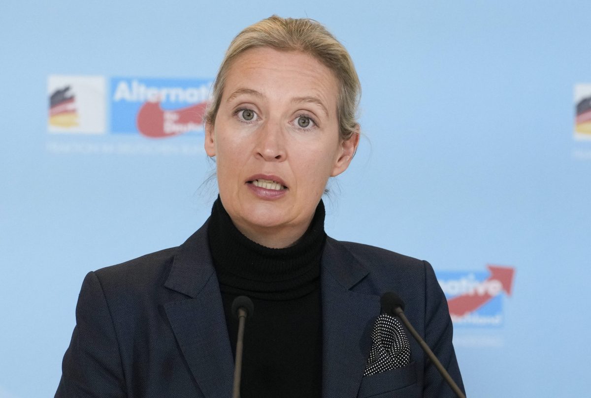 alice-weidel-afd-spuckt-gro-e-t-ne-die-wahrheit-ist-aber-peinlich-f-r-sie