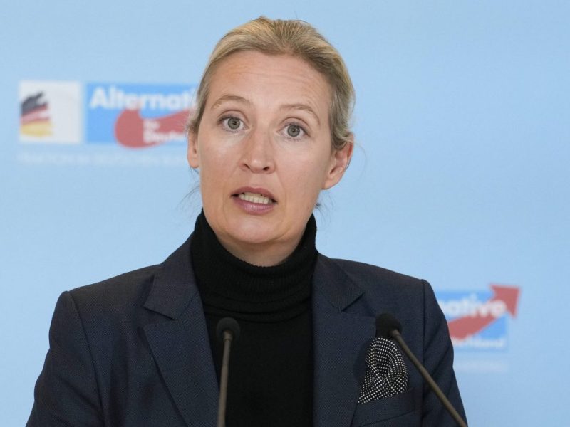 Alice Weidel (AfD) spuckt große Töne – die Wahrheit ist aber peinlich für sie