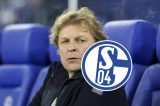 Schalke 04 hat Youri Mulder als Technischen Direktor bis Saisonende präsentiert. Eine richtige Entscheidung der Klubbosse! Ein Kommentar.