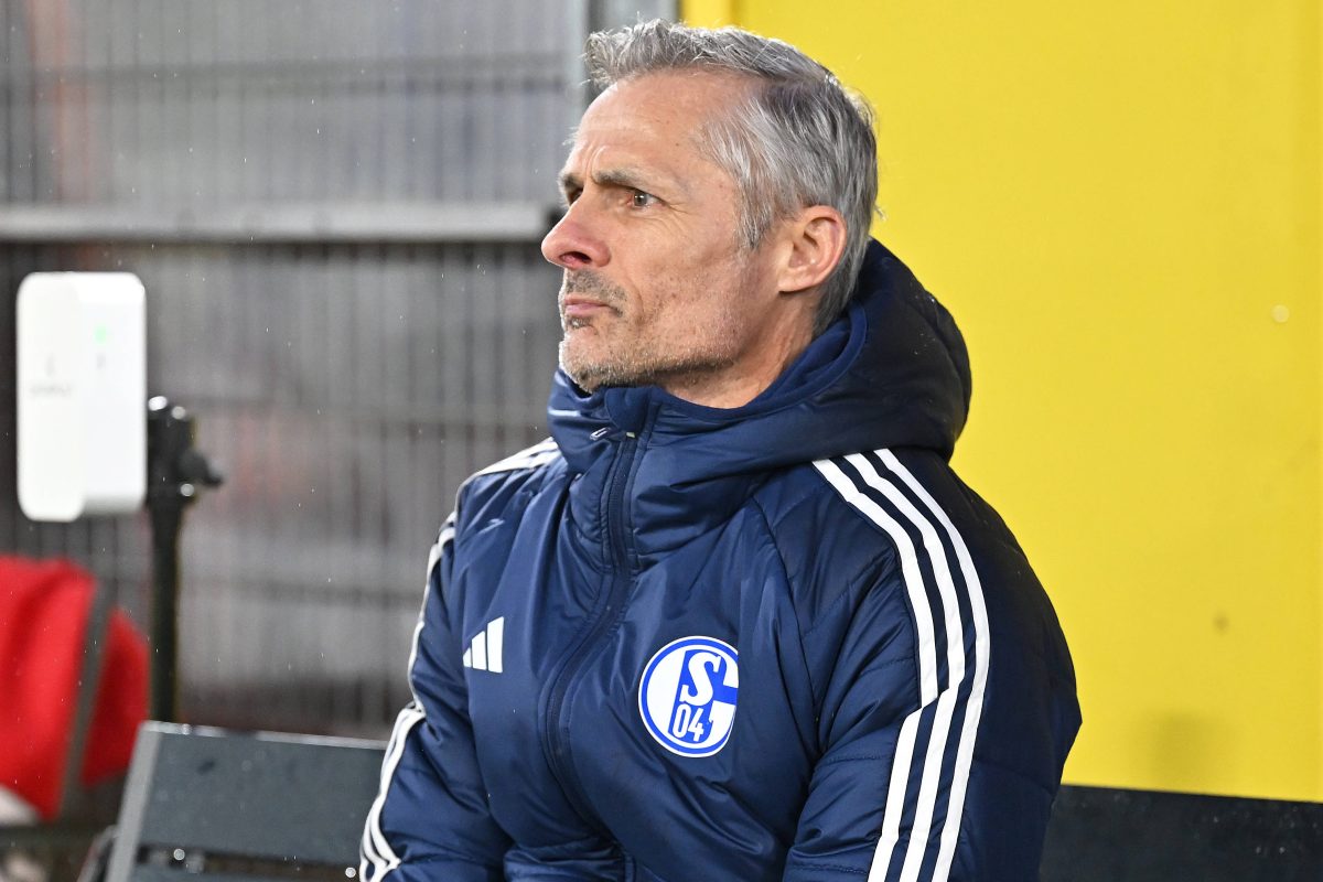 Kees van Wonderen muss beim FC Schalke mehr liefern denn je.