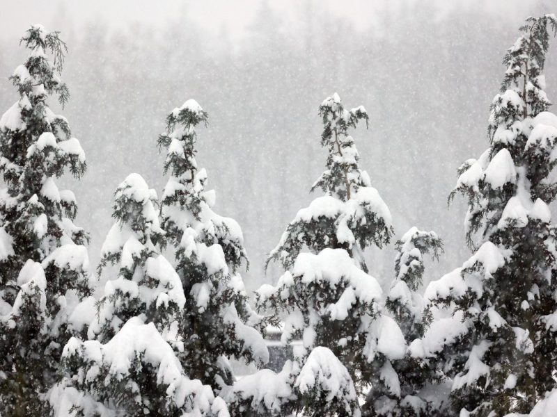 Wetter in NRW: Kurz vor Weihnachten kracht es – „Kann schlagartig weiß werden“