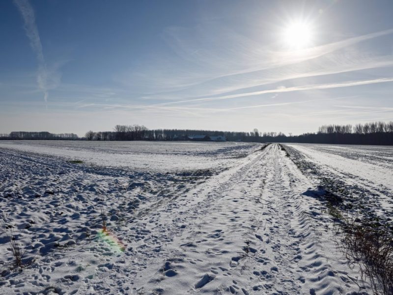 Wetter in NRW: Experte nimmt jede Hoffnung – „Wintermöhre“