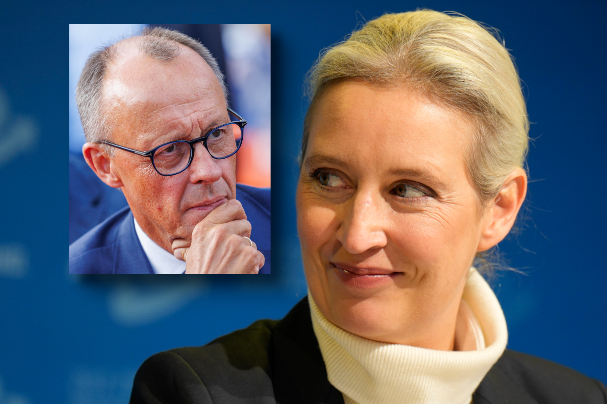 weidel-afd-alarm-in-neuer-umfrage-bricht-merz-der-vorsprung-weg