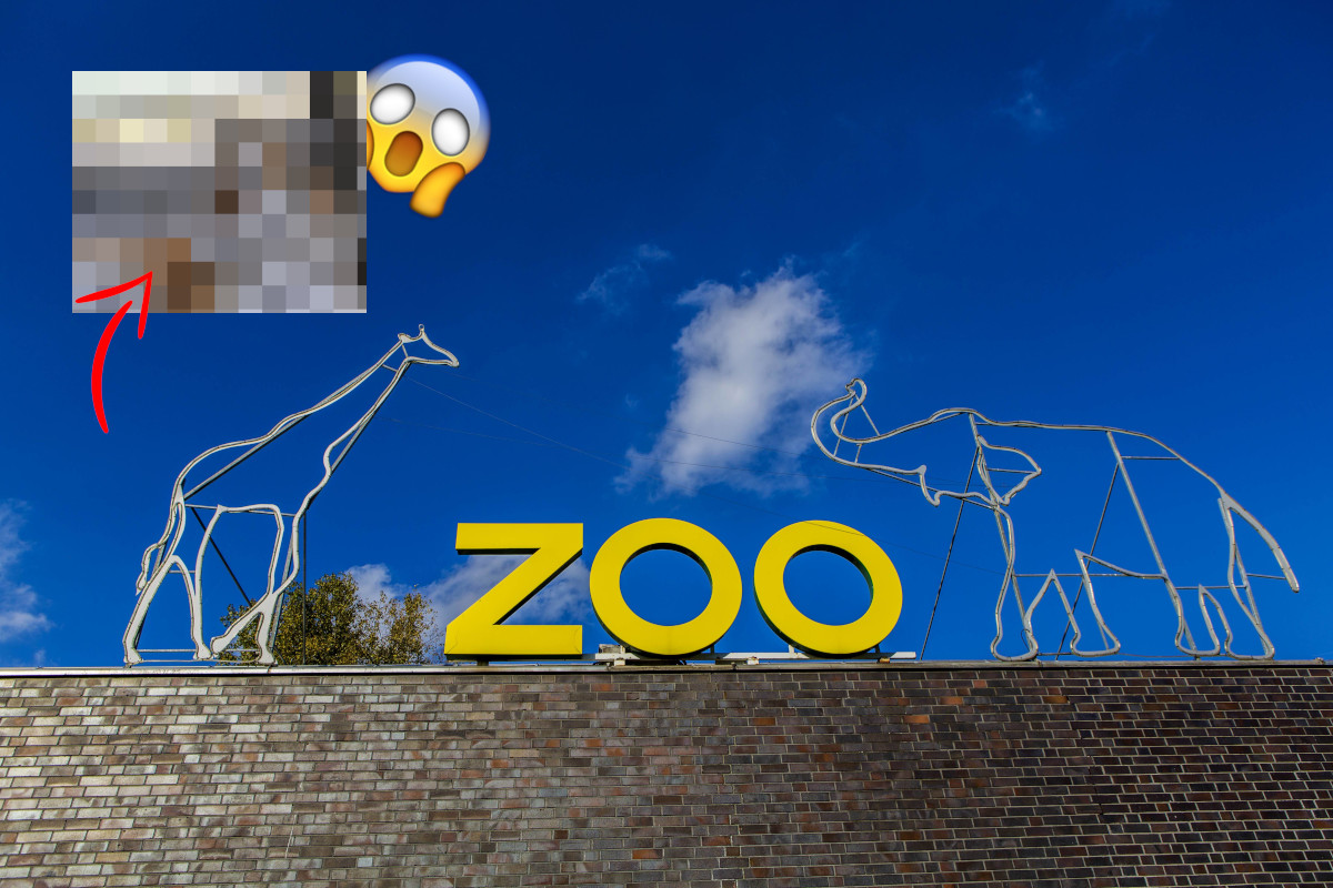 Zoo NRW