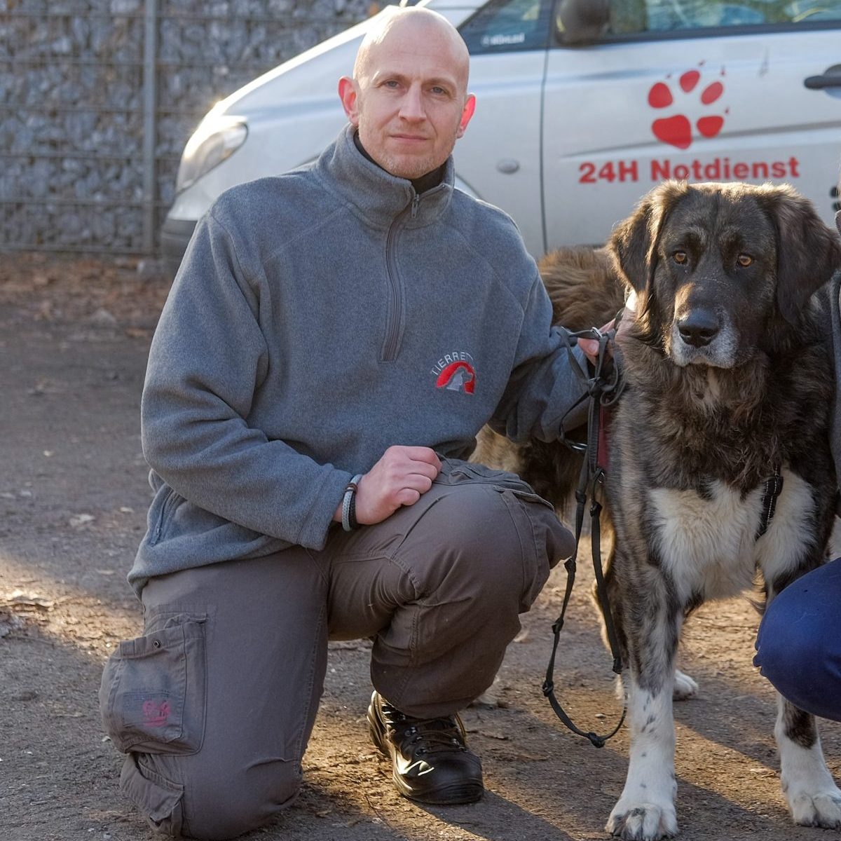 NRW: Tierretter zieht die Reißleine – „Habe keine Lust mehr“