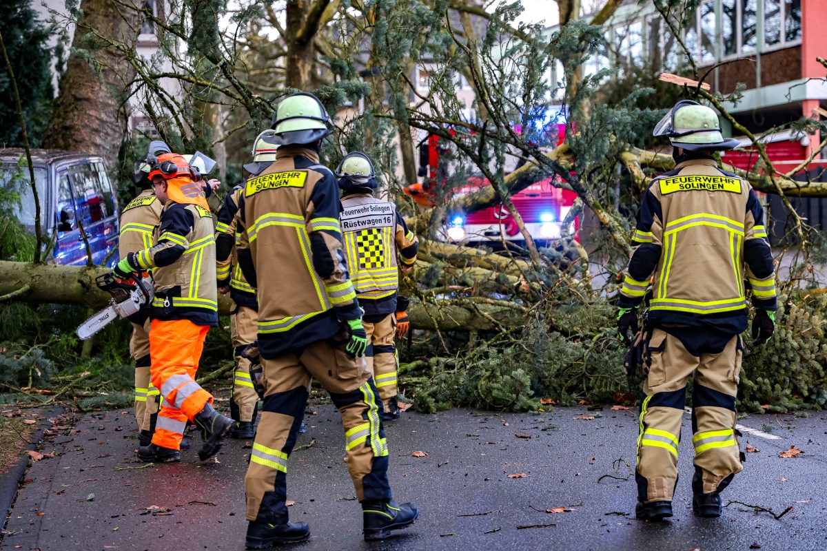 Sturm-Wetter in NRW: In Solingen beseitigen EinsatzkrÃ¤fte der Feuerwehr einen umgestÃ¼rzten Baum.