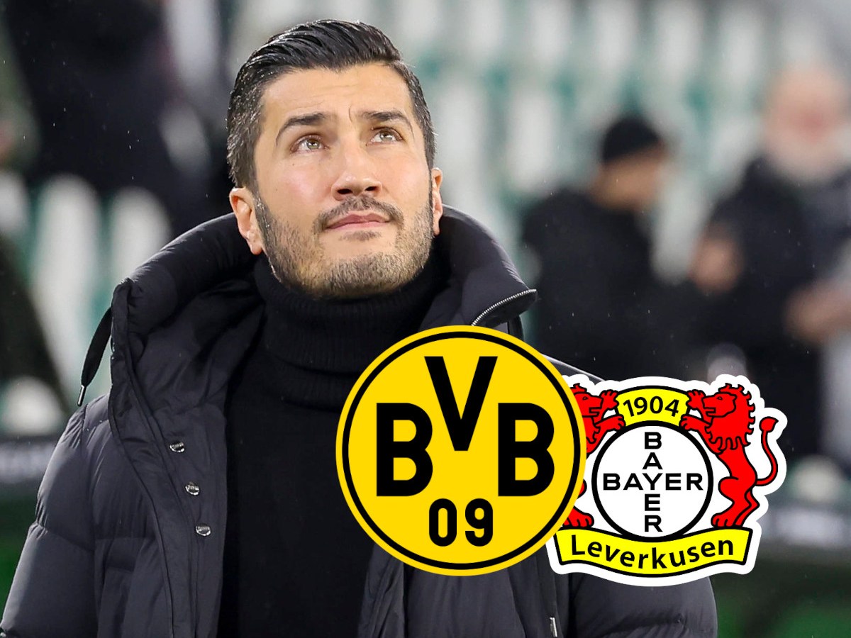 bvb lev sahin