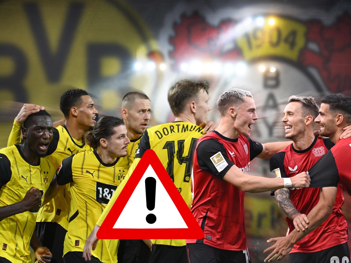 BVB Leverkusen