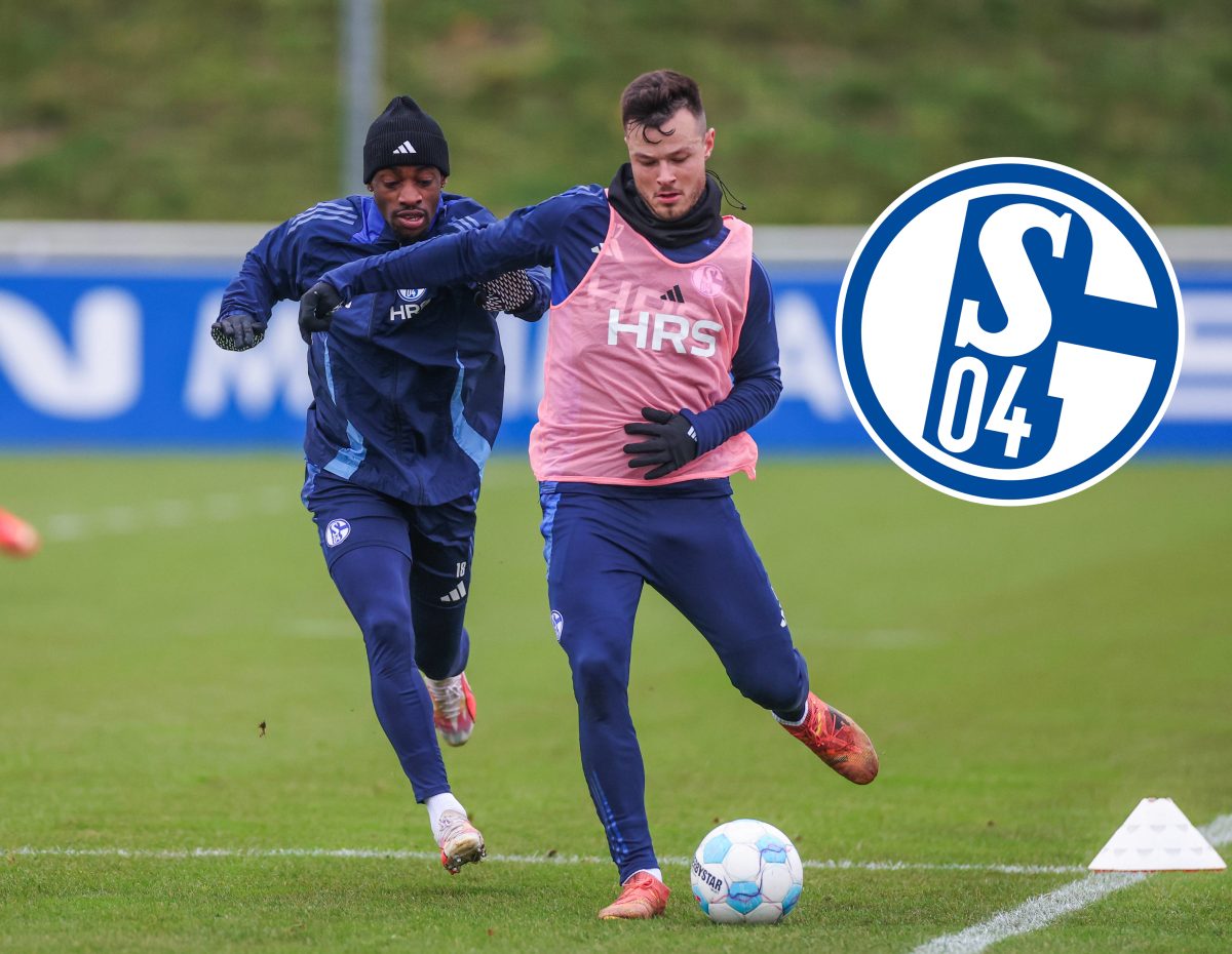 FC Schalke 04: Christopher Antwi-Adjei