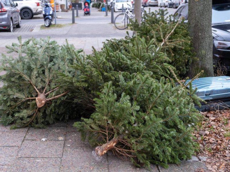 Essen, Duisburg und Co.: So entsorgst du deinen Weihnachtsbaum – sonst droht dir ein Bußgeld