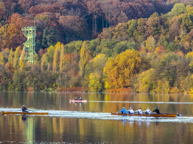 Essen: Tier-Sterben am Baldeneysee – Warnung an alle Bürger