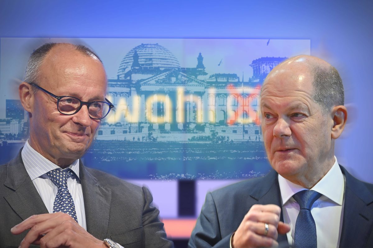 Merz und Scholz: Zwei brisante AfD-Sätze holen sie jetzt ein