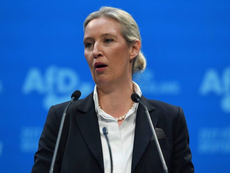 Lesbische Mutter Alice Weidel: AfD-Basis fällt ihr  in den Rücken – „Verwahrlosend“