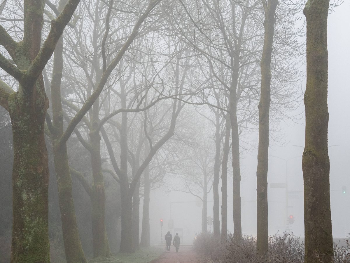 Wetter im Januar