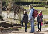 Eine Frau erfÃ¼llte sich mit einem Zoo-Besuch ihren letzten Herzenswunsch. (Symbolfoto)