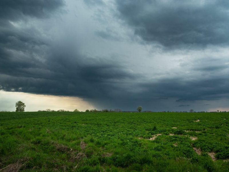 Wetter in NRW vor groÃŸem â€žAufflammenâ€œ! Experte warnt eindringlich