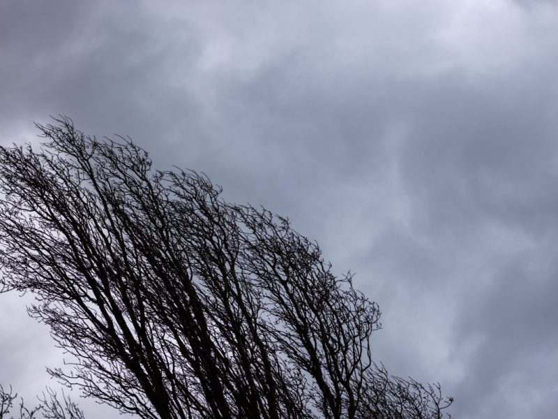 Wetter in NRW: 200-km/h-Orkan wirbelt Europa durcheinander â€“ auch hier bekommst du es zu spÃ¼ren