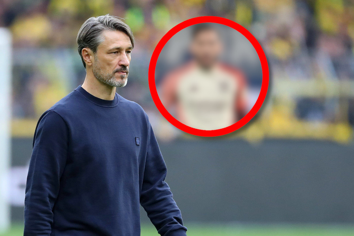 Niko Kovac darf bei Neuverpflichtungen von Borussia Dortmund mitsprechen.