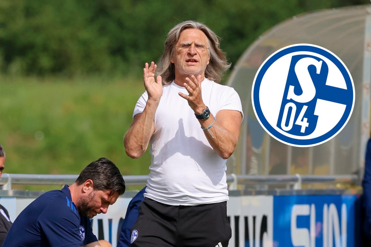 FC Schalke 04: Norbert Elgert