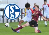 Schalke Dardari