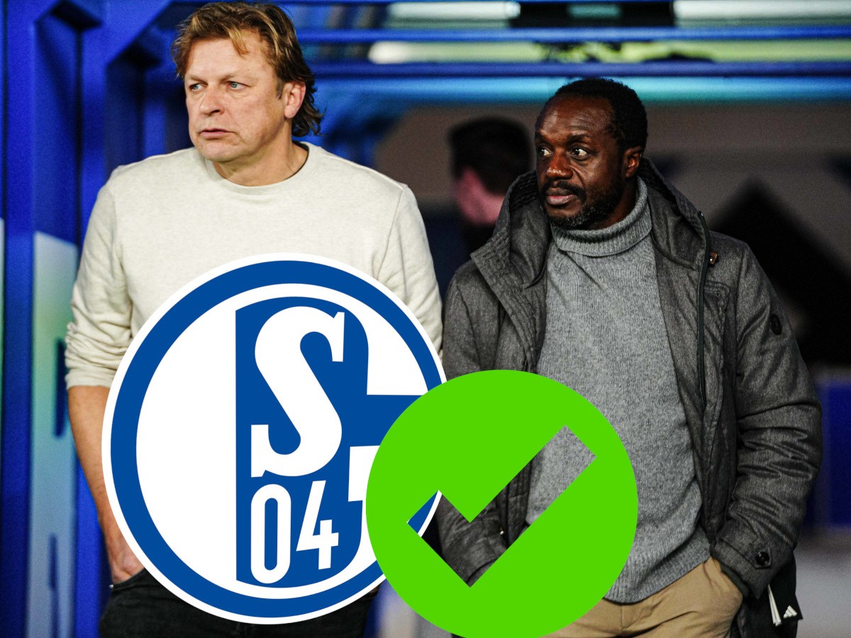 FC Schalke 04 macht Transfer-Hammer offiziell! Deal in trockenen Tüchern