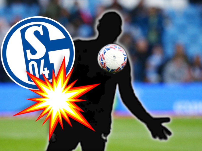 FC Schalke 04 plant Hammer-Transfer – Fans trauen ihren Ohren kaum