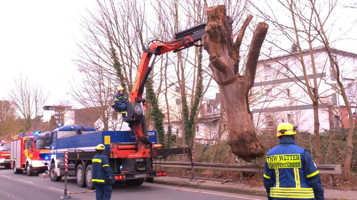 In Wetter auf der Ruhrstraße riss der Sturm am Neujahrsmorgen einen massiven Baum um. Feuerwehr und THW mussten ihn bergen, die angrenzende Bahnlinie blieb dafür gesperrt.