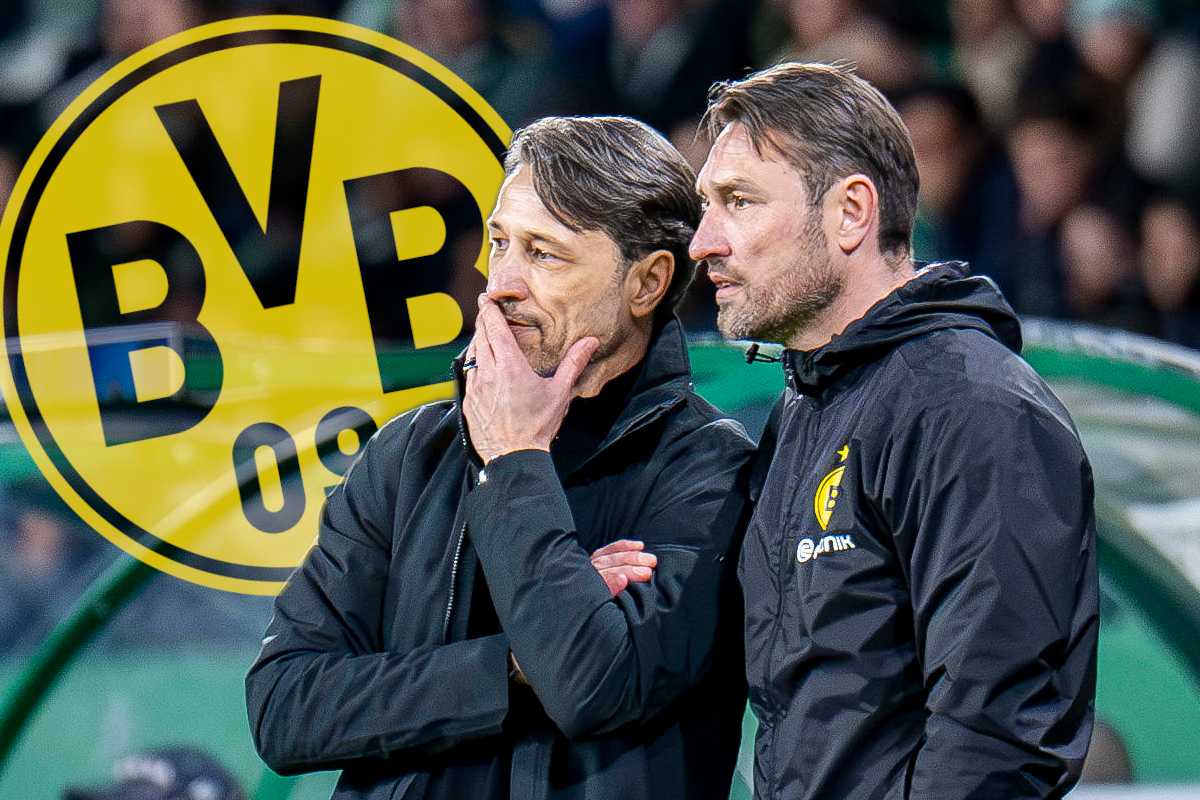 borussia-dortmund-kovac-casting-bvb-trainer-sorgt-mit-ma-nahme-f-r-wirbel