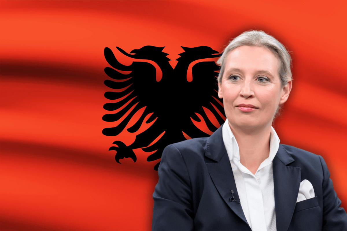 „Liebeserklärung an Frau Weidel“: Albaner landet viralen Hit