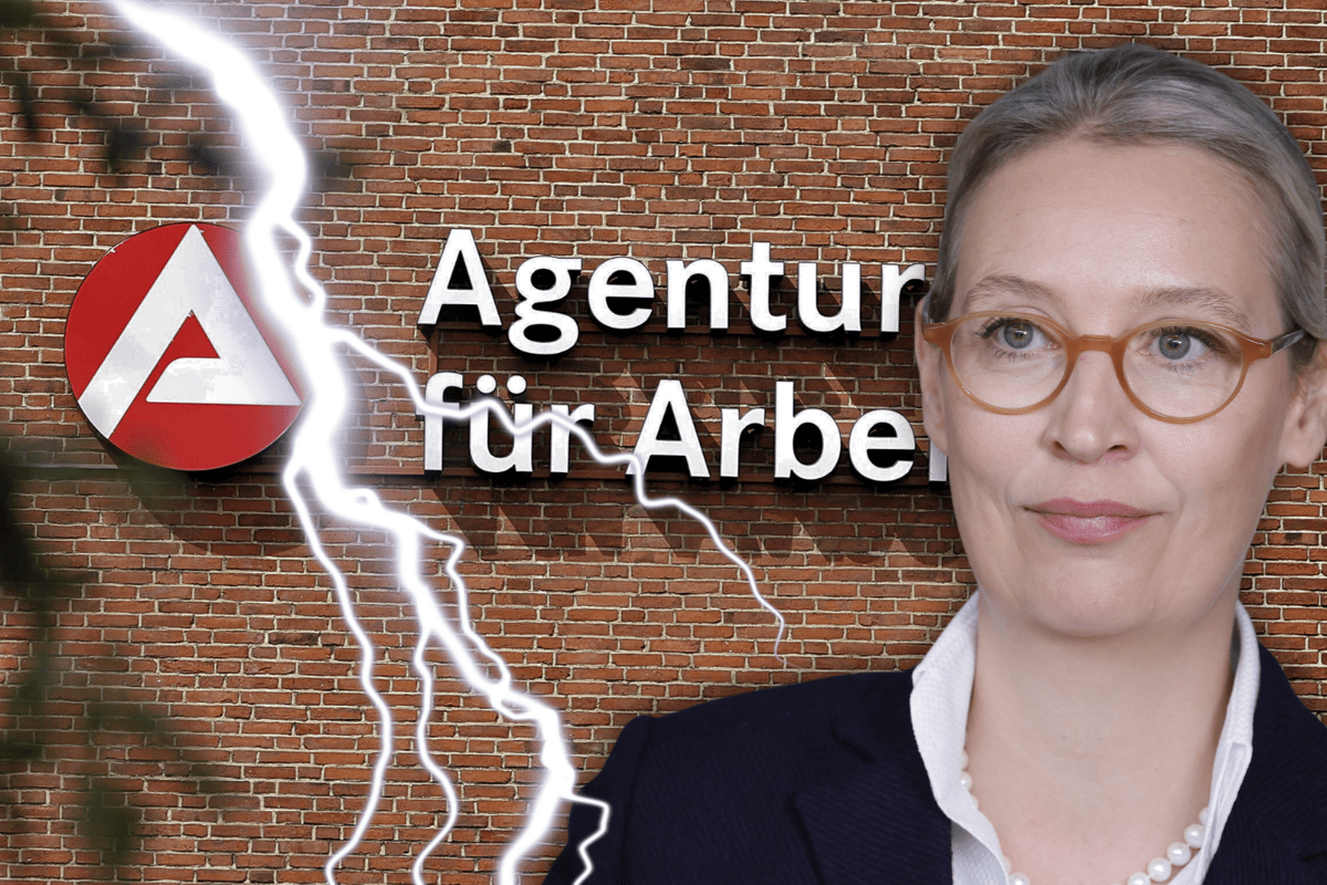 Wahlprogramm hat es in sich: AfD will Arbeitslosengeld drastisch kürzen