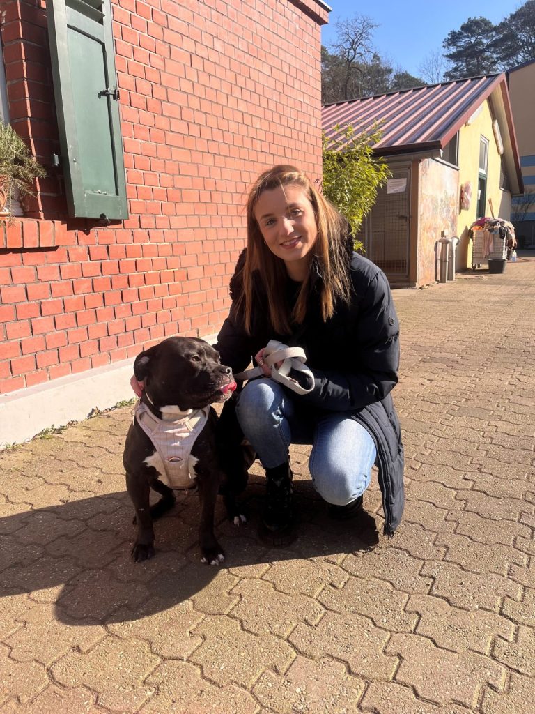 Hund Blacky wurde von Celine adoptiert. Zusammen besuchen sie regelmäßig das Tierheim Köln Dellbrück in NRW.