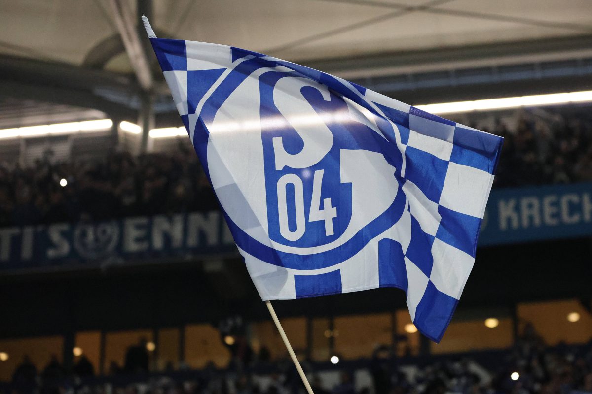 Geld-Update! Vor dem Spiel gegen den 1. FC Magdeburg hat Schalke 04 den neusten Stand bei der FÃ¶rdergenossenschaft bekannt gegeben.