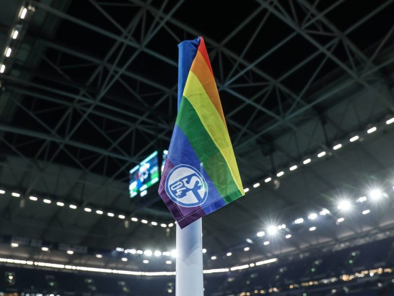 FC Schalke 04 lÃ¤sst die Katze aus dem Sack! Partnerschaft offiziell