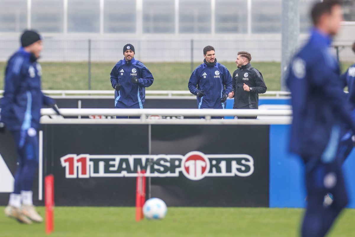 FC Schalke 04: Mega-Lob! Ex-Coach adelt S04-Neuzugang