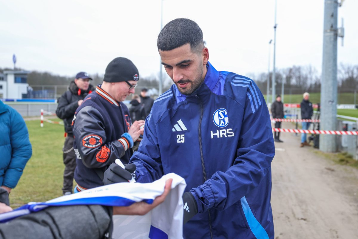 FC Schalke 04: Sie spielten schon zusammen – werden SIE das neue Traum-Duo?