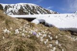 Wetter in NRW: Erstaunliches PhÃ¤nomen.