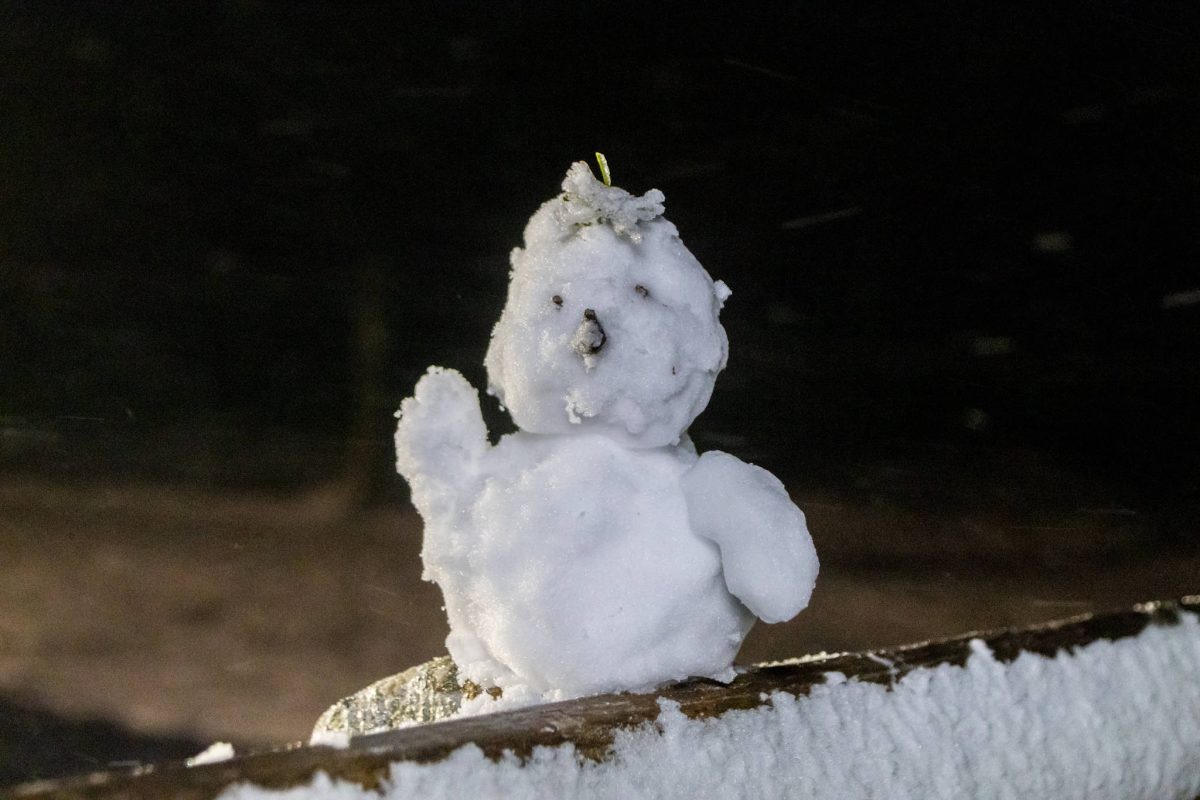 Wetter in NRW: „Winter-Showdown” im Anmarsch – Expertin fällt vom Hocker! „Wahnsinn“