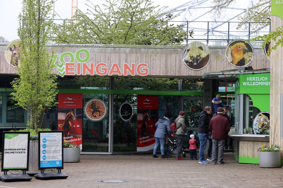 Zoo in NRW muss Bereich abriegeln – Besucher machen große Augen